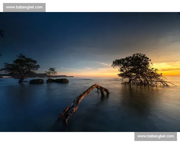 拼尽全力仍难挽回命运遗憾出局的背后原因与未来启示思考